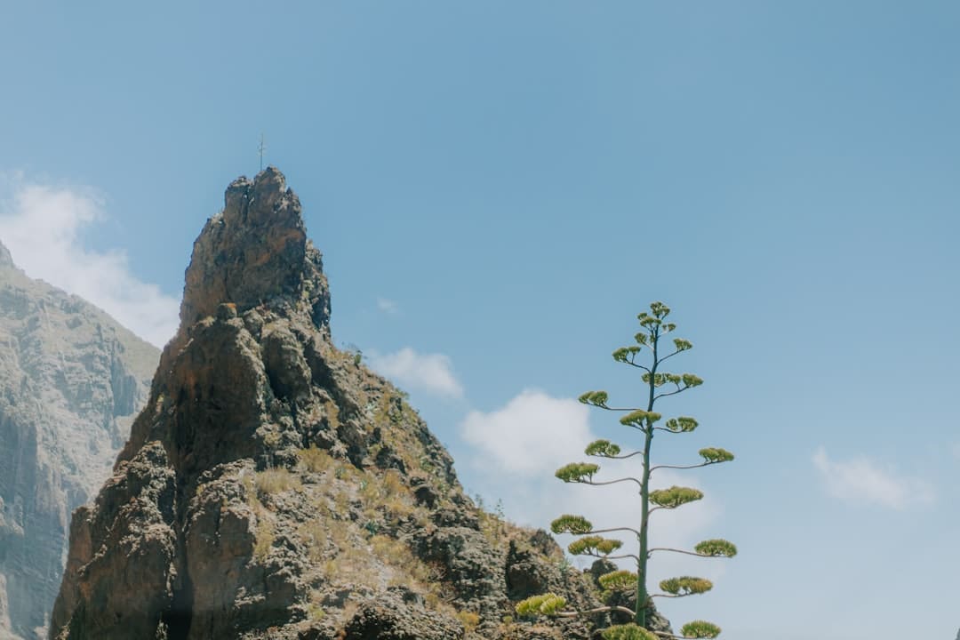 漳浦开渔 千帆竞发赴蓝海